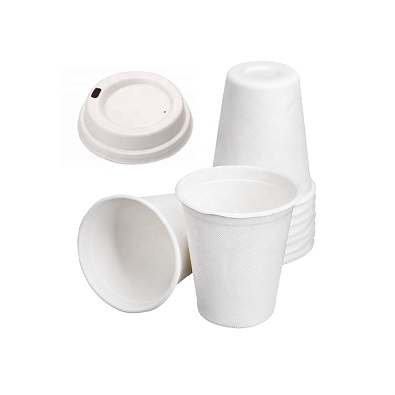 12oz Bagasse Cup with Lids