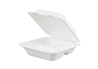 Bagasse Food Container