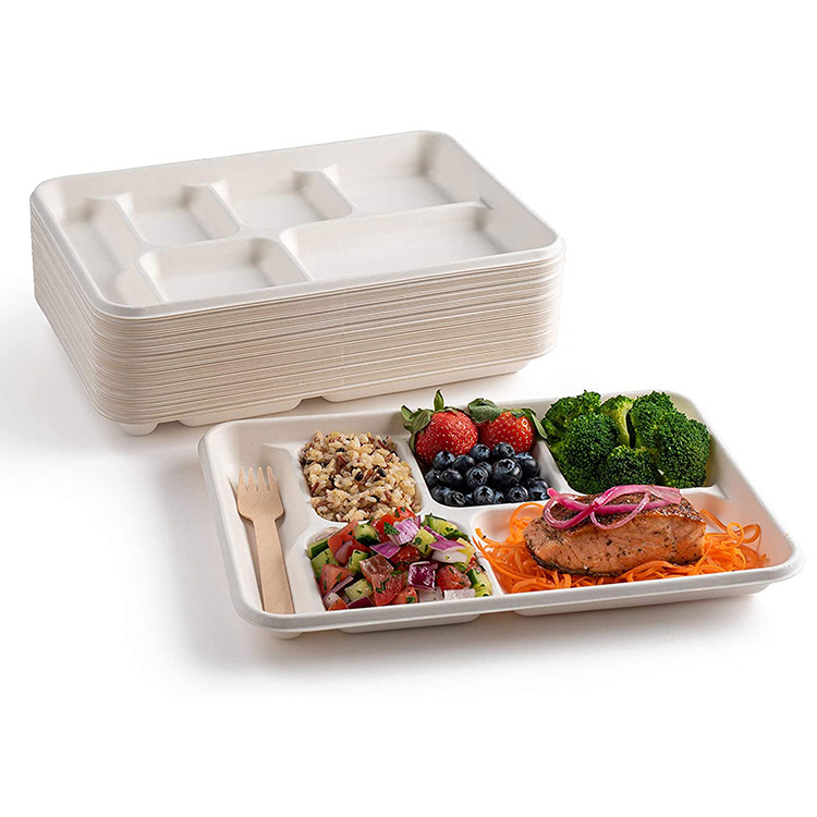 6 Compartment Lunch Tray