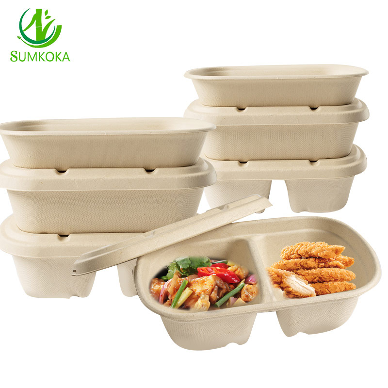 Bagasse Bento Box