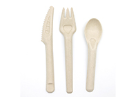 Bagasse Cutlery