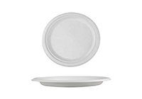 Bagasse Plates